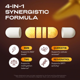 Holistic Hercules NMN Supplement – 1000 mg | Quercetin | TMG | Resveratrol Complex – Supports Cellular Energy & NAD+ Levels - Vitamin Dietary Supplement Healthcare